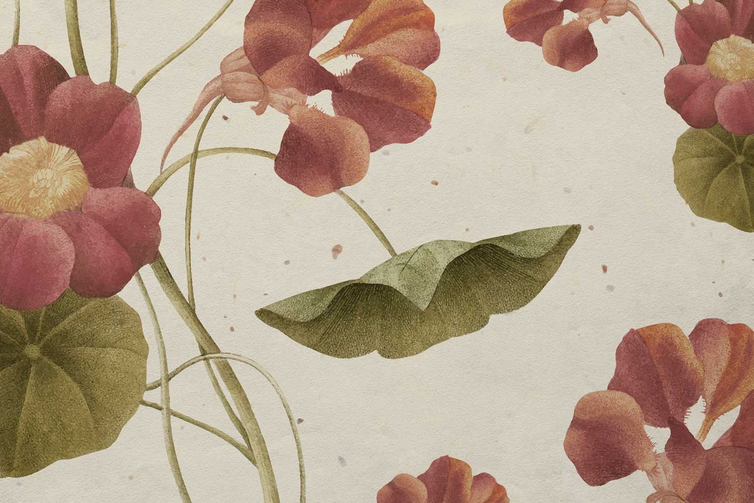 Botanicals Lockscreen Wallpaper