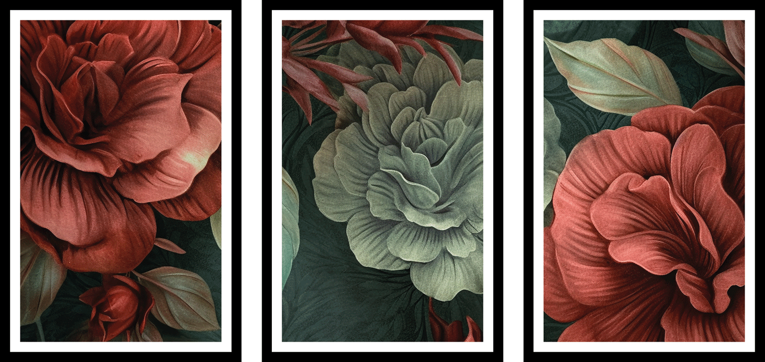 Begonia 3 Piece Flower Art Frame